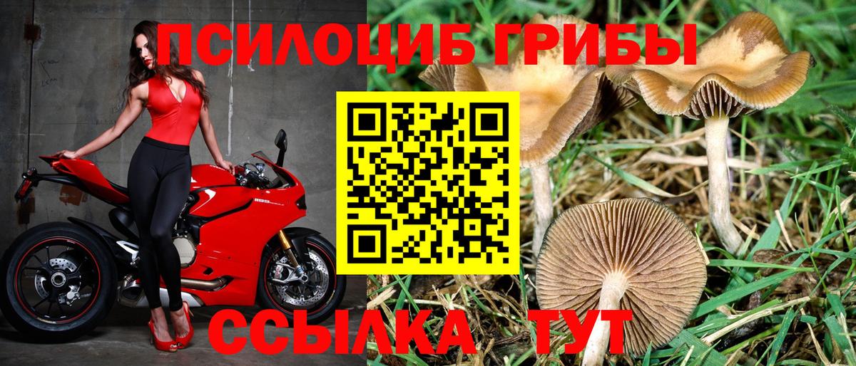 Галлюциногенные грибы мухоморы Челябинск