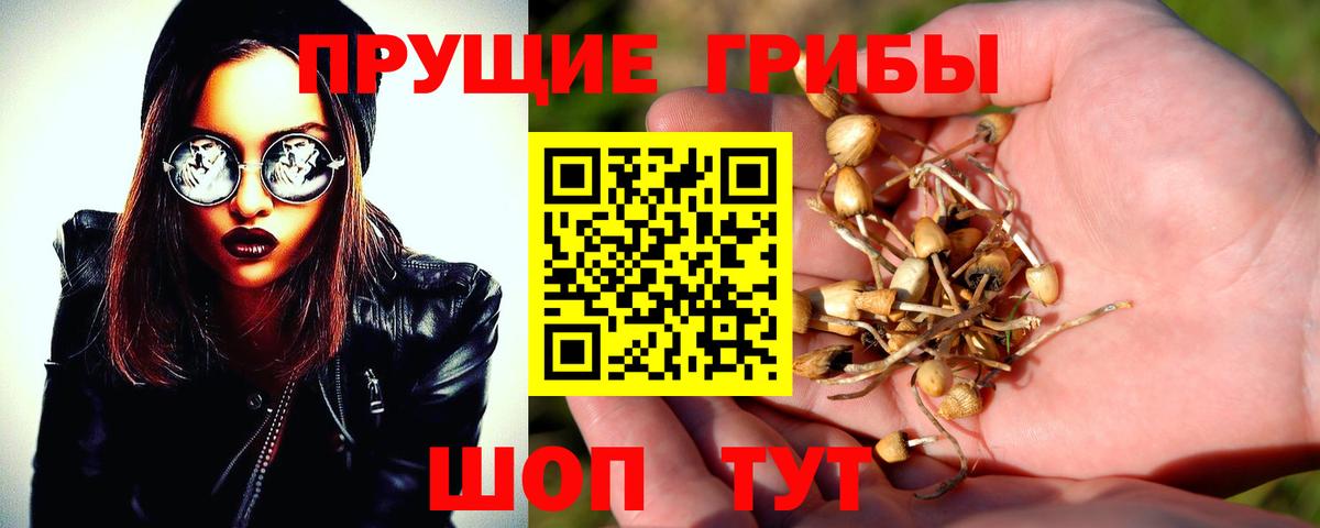Челябинск  Псилоцибиновые грибы мицелий  Галлюциногенные грибы мухоморы  Вход с VPN 